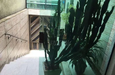 Sobrado com 3 dormitórios à venda, 250 m² - jardim elba - são paulo/sp