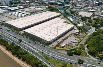Barracão / Galpão / Depósito para alugar na Vila Maria, São Paulo 