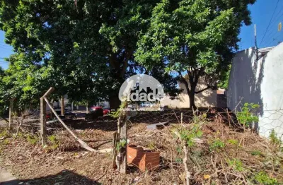 Terreno comercial para alugar no Cancelli, Cascavel 