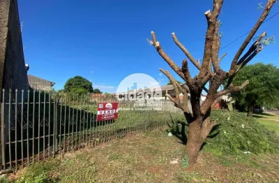Terreno à venda no Cascavel Velho, Cascavel 