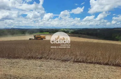 Chácara / sítio à venda na Zona Rural, Lindoeste 