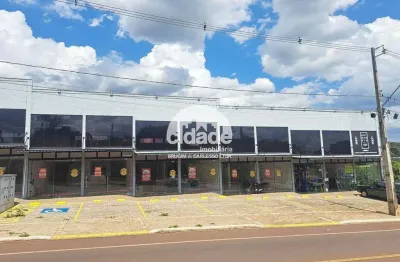 Sala comercial para aluguel, 19 vagas, Brasília - Cascavel/Pr
