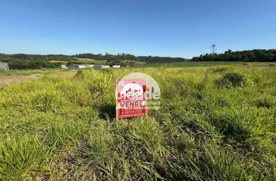 Chácara / sítio à venda no Santa Felicidade, Cascavel 