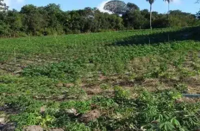 Chácara / sítio com 3 quartos à venda no Centro, Conde 