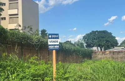Chácara / sítio à venda na Rua Albuquerque Lins, 23, Jardim Paulista, Ribeirão Preto