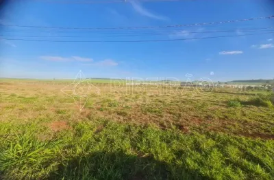 Terreno comercial à venda na Santa Iria, Ribeirão Preto 