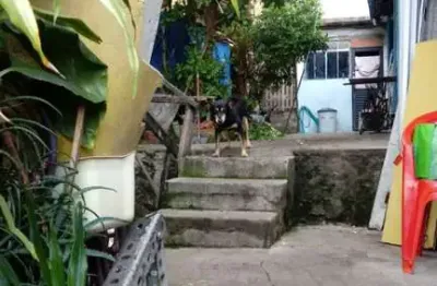 Casa com 5 quartos à venda na Rua Lambari, --, Vila Nova Cachoeirinha, São Paulo