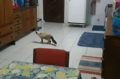 Cara com 3 quartos sendo 1 suíte, 4 banheiros, 2 vagas com 350m² em itapevi - vila verde