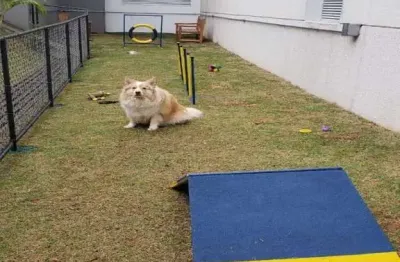 Apartamento com 2 quartos à venda na Rua Doutor Luiz Migliano, --, Jardim Caboré, São Paulo