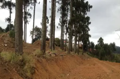 Terreno à venda na Estrada Dos Fischers, --, Jardim Sandra, Cotia