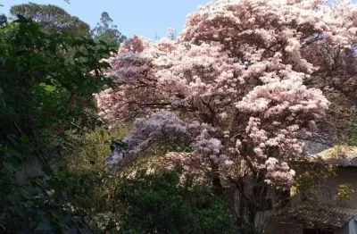 Casa em condomínio fechado com 4 quartos à venda na Rua Itapemirim, Granja Carneiro Viana, Cotia