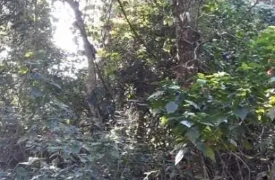 Terreno Residencial à venda, Jardim São Vicente, Cotia - TE0028.