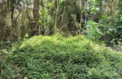 Terreno Residencial à venda, Parque Dom Henrique, Cotia - TE0034.