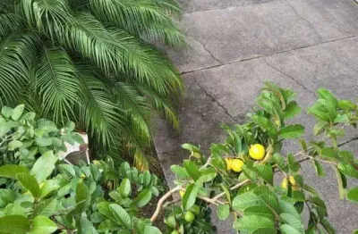 Casa Residencial à venda, Chácara São João, Carapicuíba - CA0138.