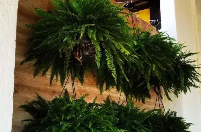 Casa com 3 quartos à venda na Estrada Manoel Lages do Chao, Jardim Caiapia, Cotia