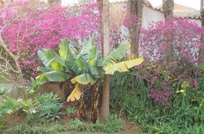 Casa com 4 quartos à venda na Rua Jambo, Algarve, Cotia