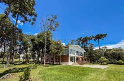 Chácara / sítio com 5 quartos à venda na Área Rural, Contenda, São José dos Pinhais, 700 m2 por R$ 6.500.000