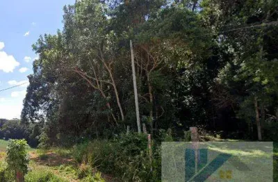 Terreno para venda em são josé dos pinhais, campestre da faxina