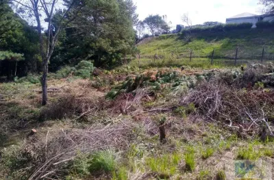 Terreno para venda em são josé dos pinhais, inhoaiva