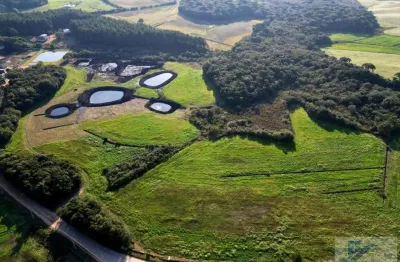Terreno para venda em são josé dos pinhais, campo largo da roseira