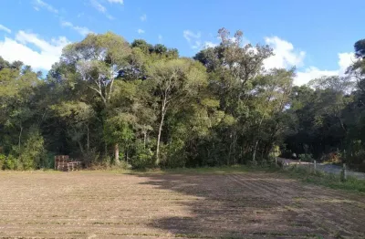 Terreno para venda em são josé dos pinhais, campo largo da roseira