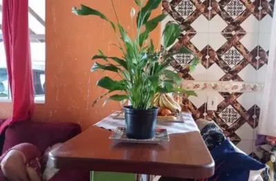 Casa para venda em florianópolis, são joão do rio vermelho, 2 dormitórios, 2 banheiros, 1 vaga