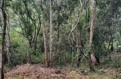 Terreno à venda no Vargem Grande, Florianópolis 