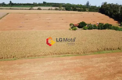 Terreno comercial à venda na Rodovia SP-147, s/n, Jardim Primavera, Mogi Mirim por R$ 3.200.000