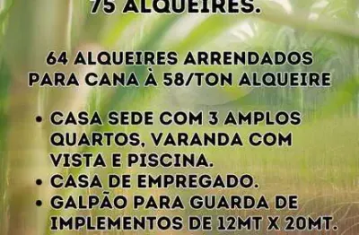 Fazenda à venda na Zona Rural, Itajobi 