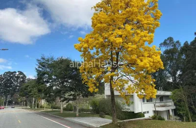 Casa com 4 quartos para alugar no Tamboré, Barueri 