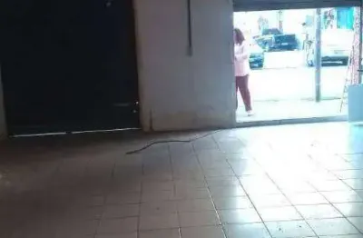 Salão para alugar, 50 m² por r$ 6.400,00/mês - saúde - são paulo/sp