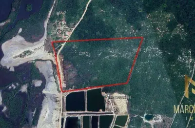 Terreno à venda, 233019 m² por r$ 1.990.000,00 - jacarecoara - cascavel/ce