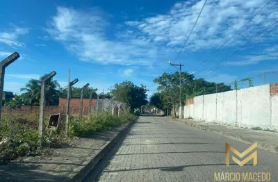 Terreno à venda, 2000 m² por r$ 550.000,00 - ancuri - fortaleza/ce