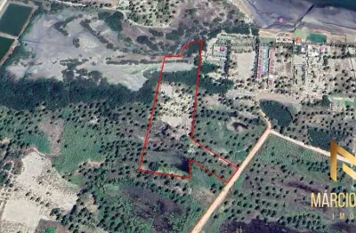 Terreno à venda, 18615 m² por r$ 3.600.000 - ilha do guajiru - trairi/ce