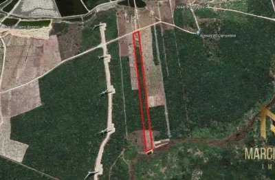 Terreno à venda, 50000 m² por r$ 1.200.000,00 - fortim - fortim/ce