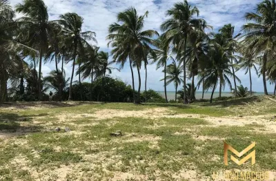 Terreno à venda, 29138 m² por r$ 15.900.000 - praia da baleia - itapipoca/ce
