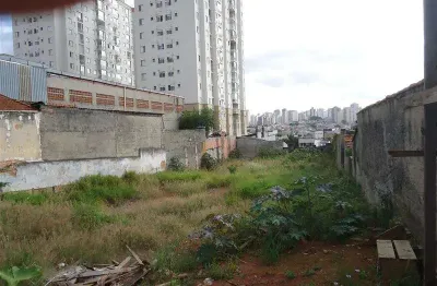 Terreno comercial para alugar na Vila Água Funda, São Paulo 