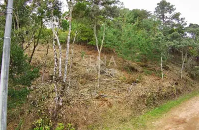 Terreno à venda na Rua Dos Salgueiros, 100, Colinas Capivari, Campos do Jordão