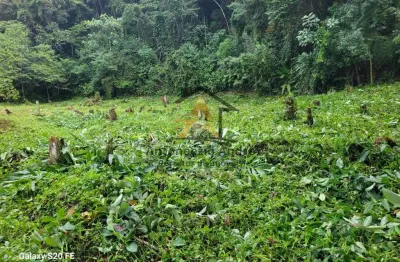 Terreno à venda no Verde Mar, Caraguatatuba 