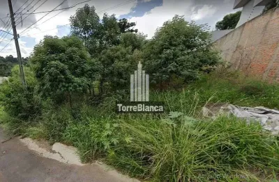 Terreno à venda na Rua Said Ajuz, Estrela, Ponta Grossa