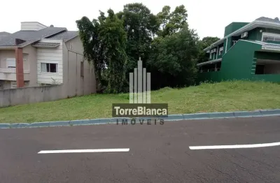Terreno à venda na Rua Maria Elvira Dantas Santos, Olarias, Ponta Grossa