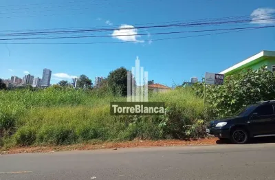 Terreno à venda na Rua Leopoldo Miques, Estrela, Ponta Grossa