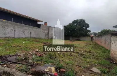 Terreno à venda na Rua Ricardo Wagner, Olarias, Ponta Grossa