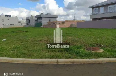 Terreno à venda na Rua Aderly Turek, Cará-cará, Ponta Grossa