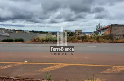 Terreno comercial ou residencial à venda com 17,20m de frente no asfalto