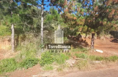 Terreno à venda – excelente oportunidade para investir ou construir