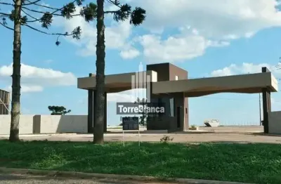 Terreno à venda na Avenida dos Pioneiros, Centro, Carambeí