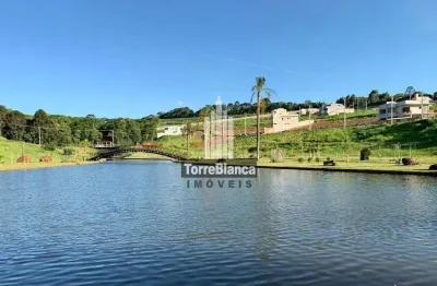 Terreno em condomínio fechado à venda na Rua Engenheiro Greenvile, Colônia Dona LuÍza, Ponta Grossa
