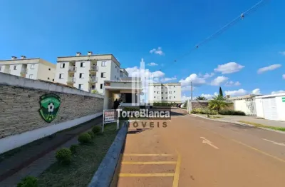 Apartamento à venda e para locação, com cozinha planejada, Vila Marumbi