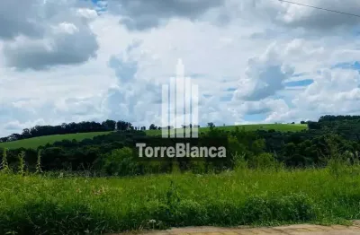 Terreno à venda na Rua Praia Mansa, Contorno, Ponta Grossa